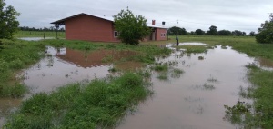Datos de lluvia de las comunidades cooperantes con la ASCIM