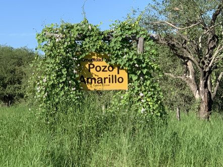 Pozo Amarillo