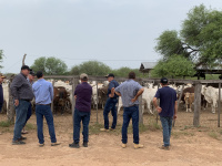 Encuentro de asesores en la Comunidad de La Esperanza