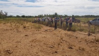 Asesores visitan a la comunidad Monte Palmeras