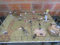 Ferias "Año internacional de las lenguas indígenas"