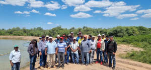 Intercambio de comunidades